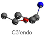 C3 endo